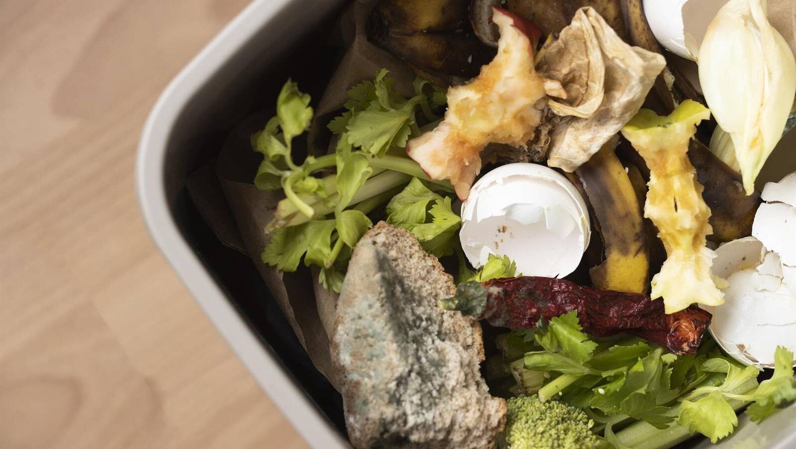 Descubre qué basuras puedes compostar para fomentar la sostenibilidad y reducir residuos