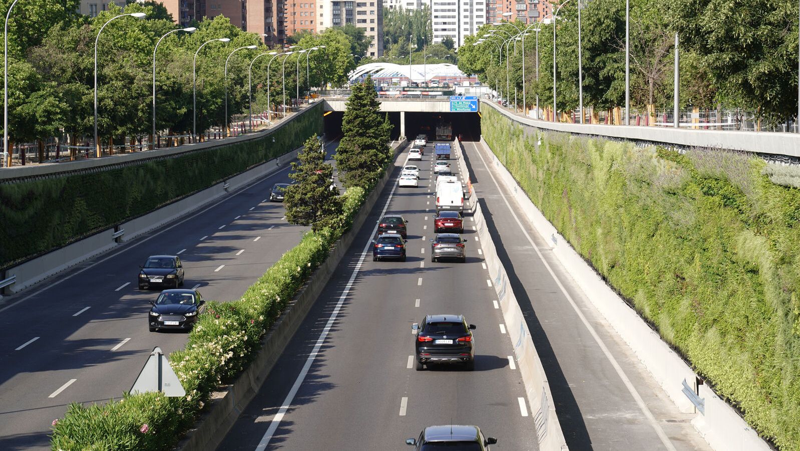 23 especies vegetales ya cubren 3.250 m2 de muro en la M-30