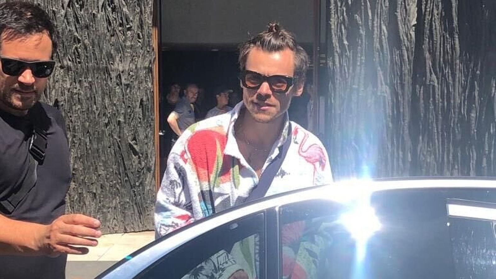Harry Styles visita el Prado para ver cuadros de Velázquez, Picasso o el 'Perro semihundido' de Goya, su obra favorita