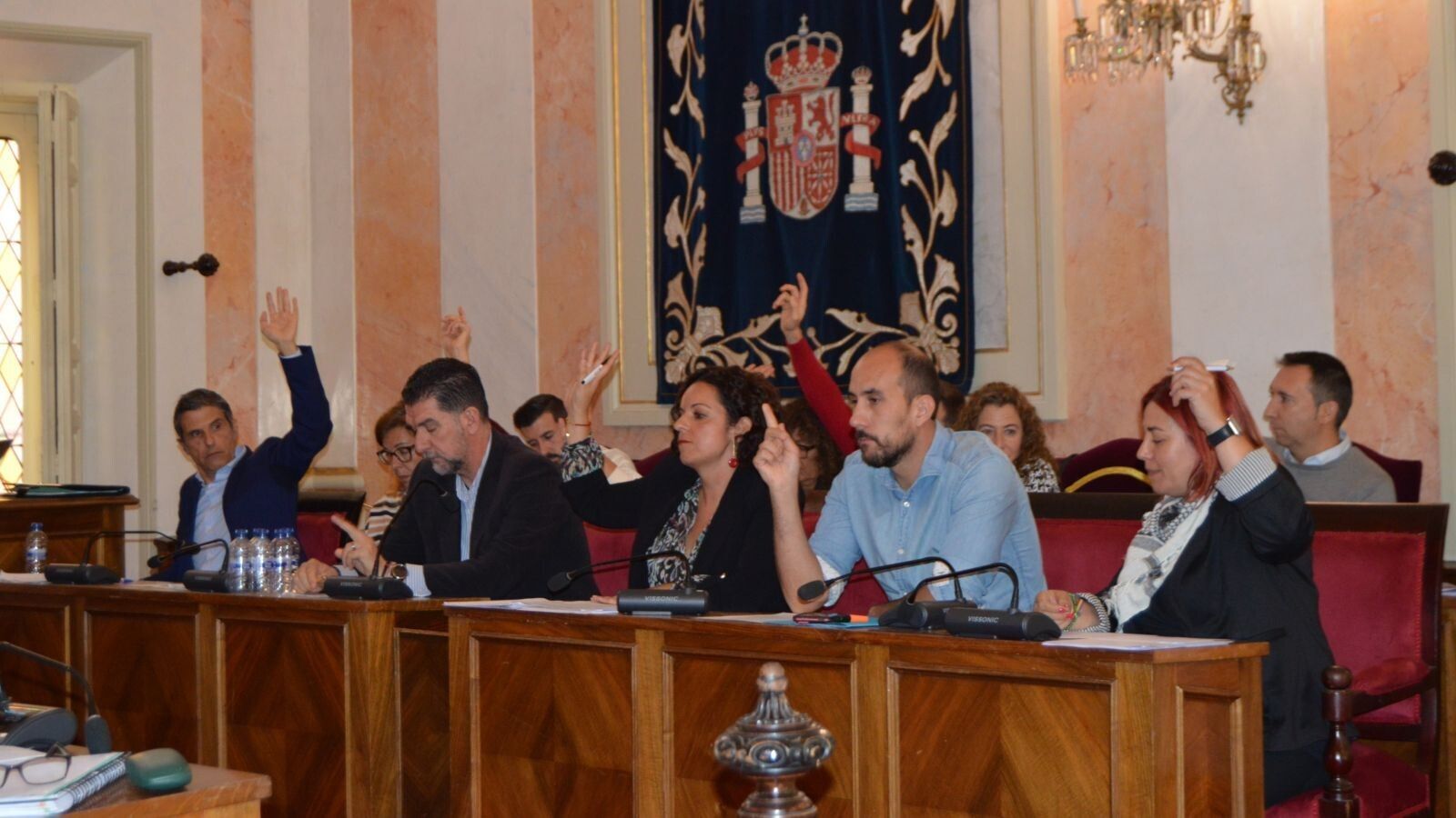 Preocupación socialista por la situación en el Pleno de Alcalá de Henares