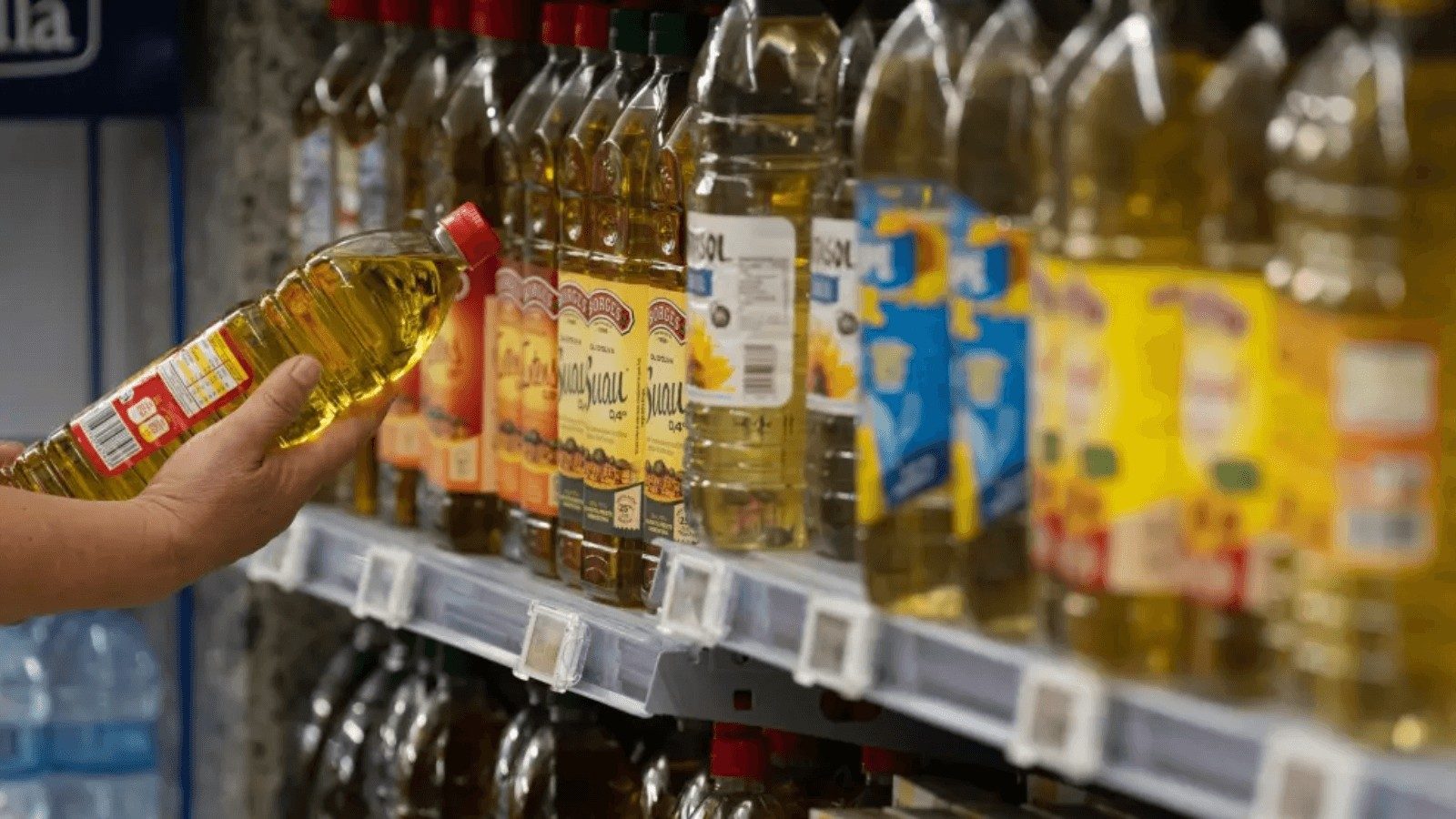 El precio del aceite de oliva virgen extra desciende a 4,2 euros por litro El precio del aceite de oliva virgen extra desciende a 4,2 euros por litro