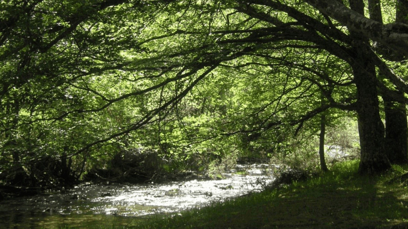 La Comunidad de Madrid organiza 200 actividades gratuitas para promover la biodiversidad regional La Comunidad de Madrid organiza 200 actividades gratuitas para promover la biodiversidad regional