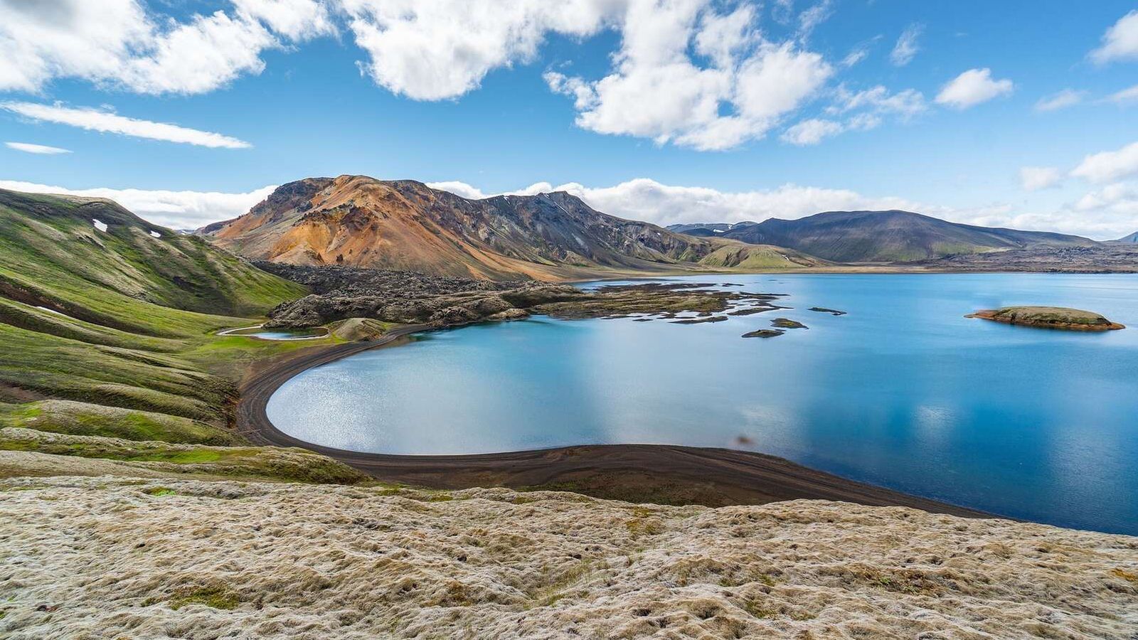La contaminación amenaza a las especies de agua dulce