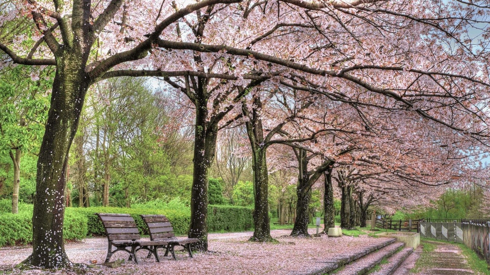 Descubre Madrid en primavera: clima perfecto, cultura viva y diversión al aire libre Descubre Madrid en primavera: clima perfecto, cultura viva y diversión al aire libre