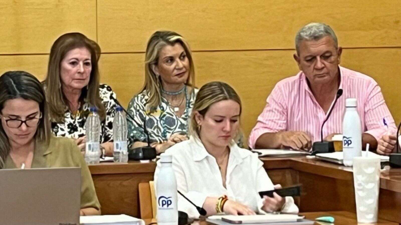 Vox tumba junto al PSOE y Vecinos por Torrelodones el plan económico del PP por elevar la presión fiscal