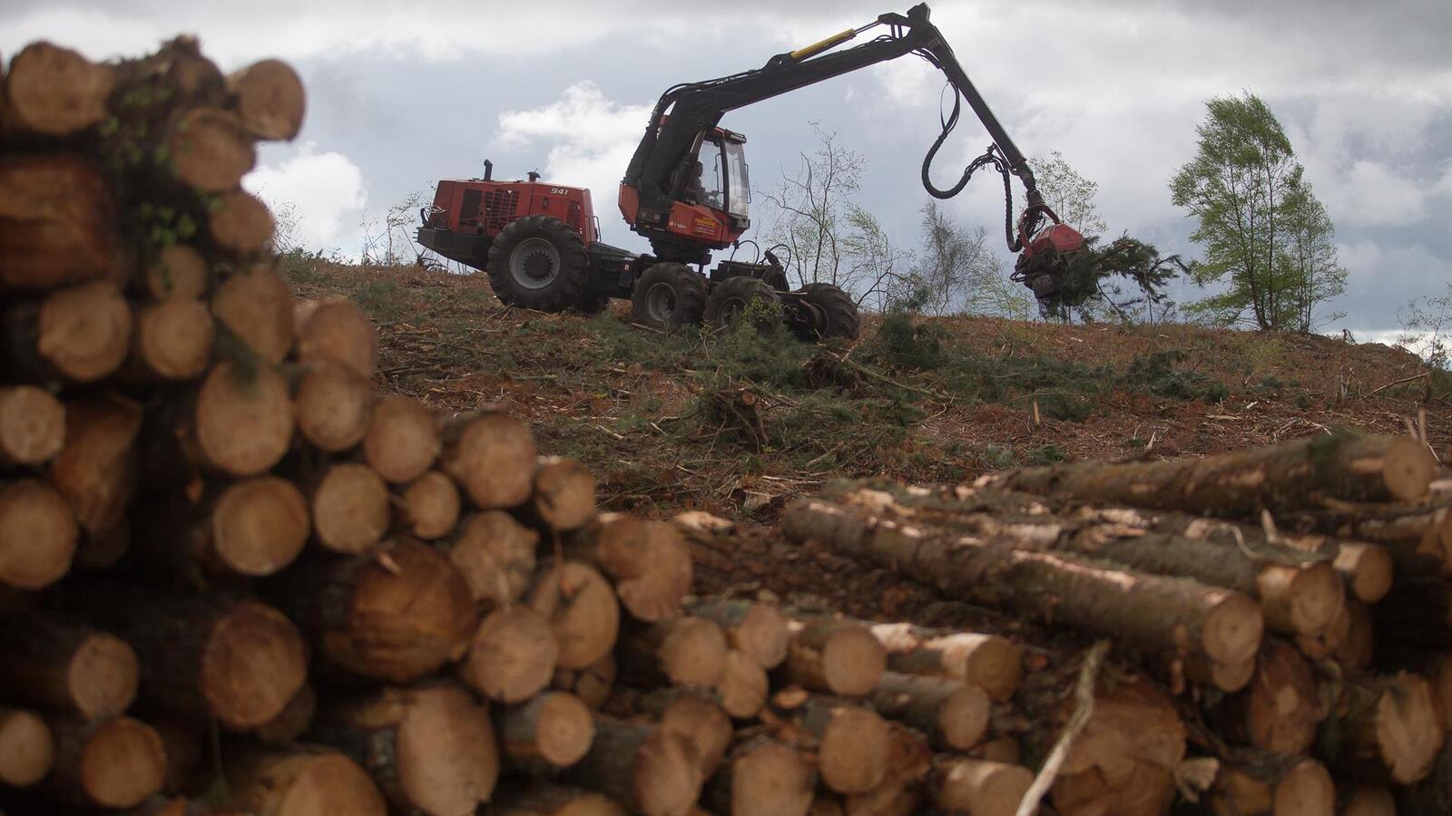 El plan ‘Madrid Forestal’ generará cuatro millones y reforzará la prevención de incendios