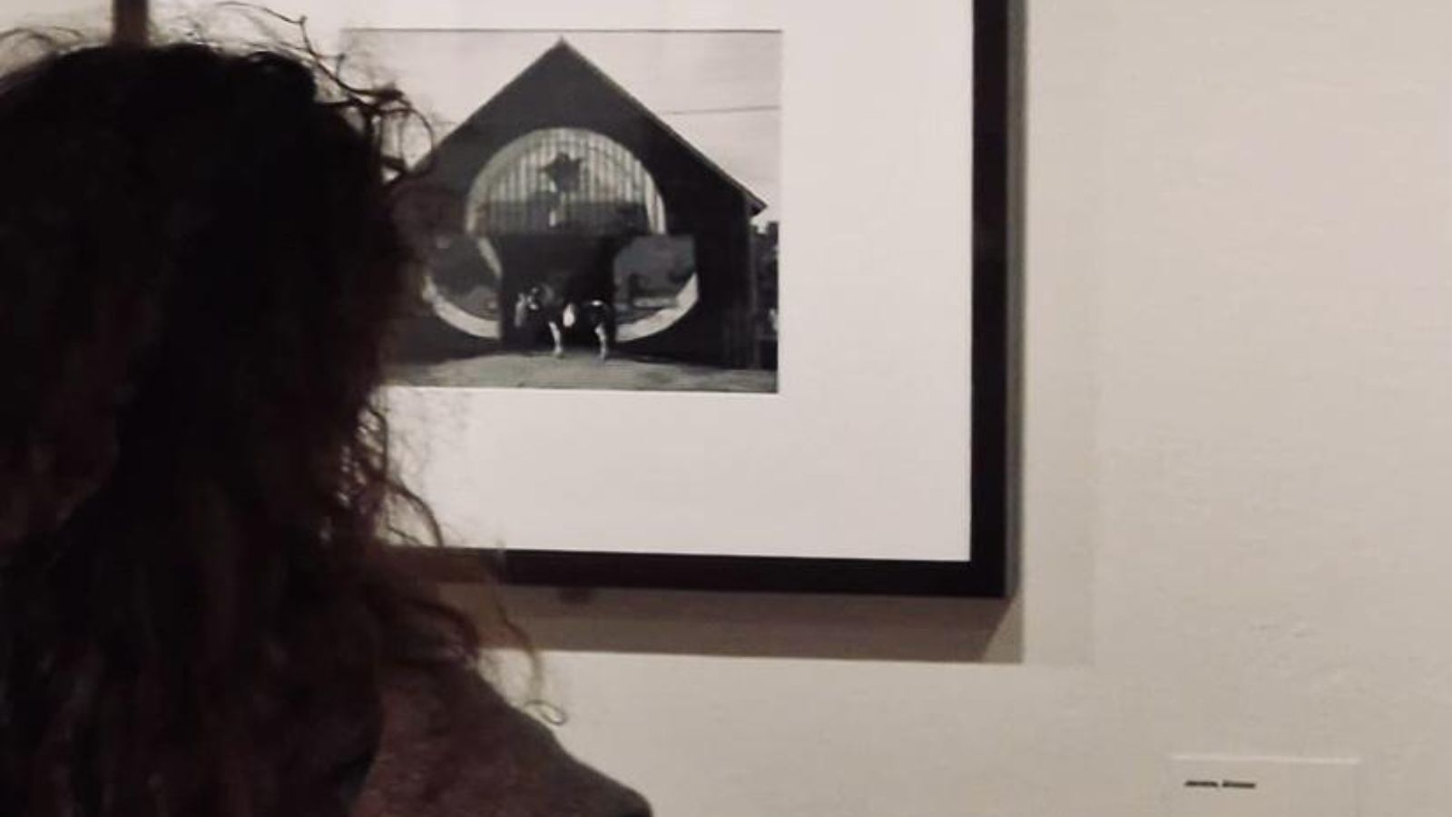 “Edward Weston. La materia de las formas”: aprender a mirar a través de la cámara