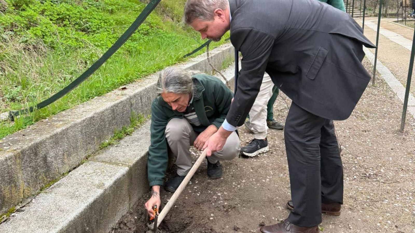 El Real Jardín Botánico recibe un injerto de la vid más antigua del mundo