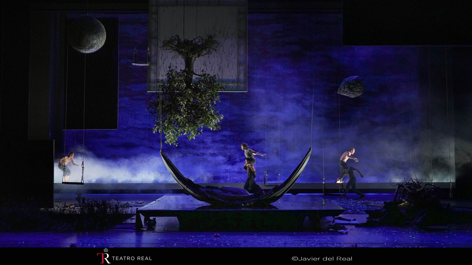 El bosque donde el sueño canta