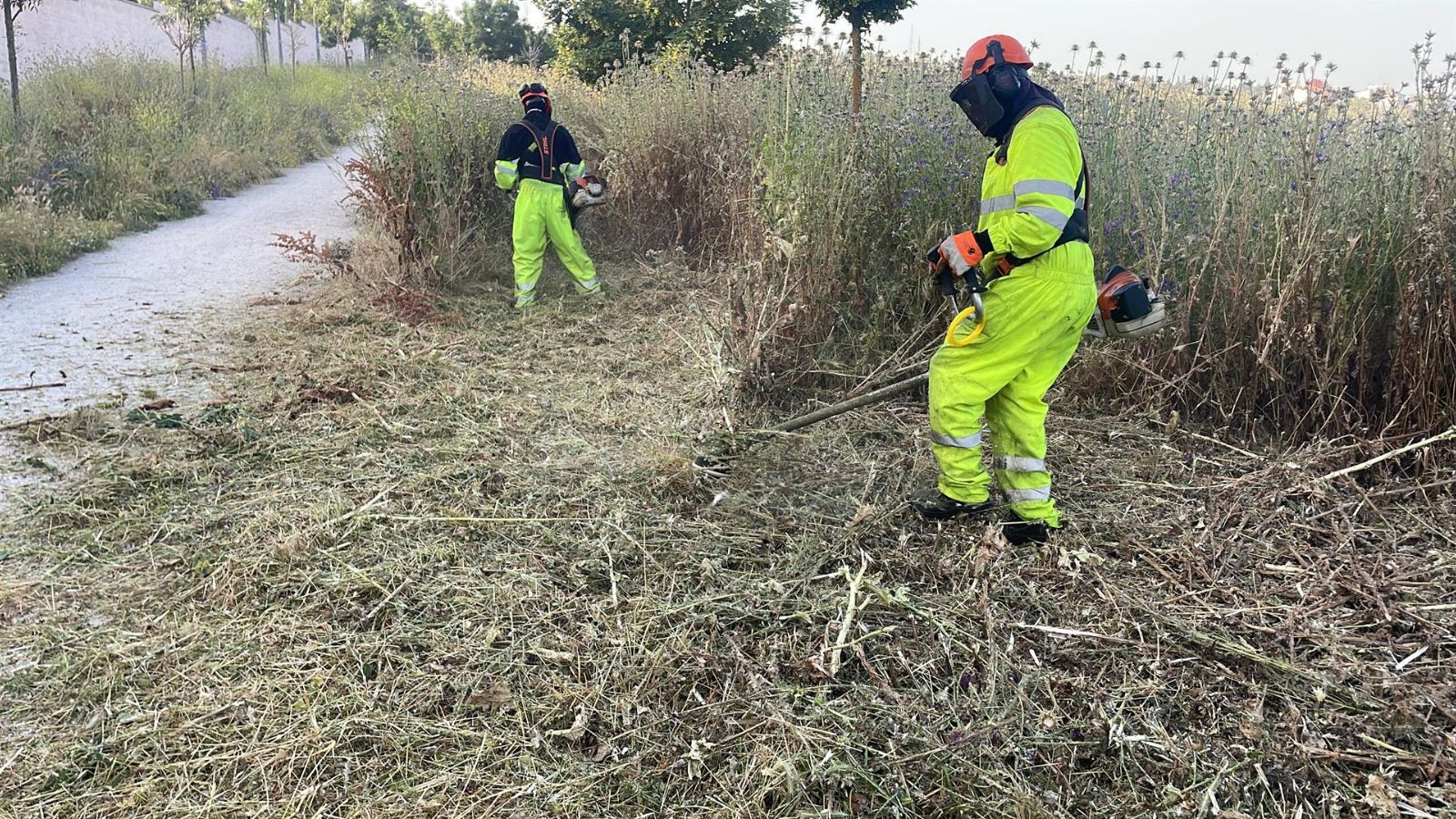 Los municipios de la Sierra de Guadarrama intensifican los desbroces ante el riesgo de incendios