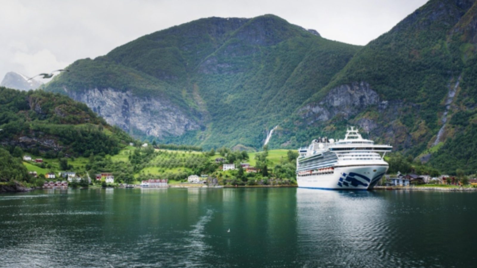 Nómada digital en el mar: trabajo remoto en cruceros Nómada digital en el mar: trabajo remoto en cruceros