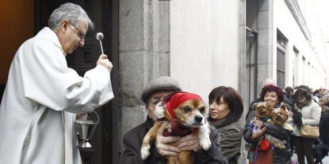 Las mascotas también van al cielo de la mano de San Antón
