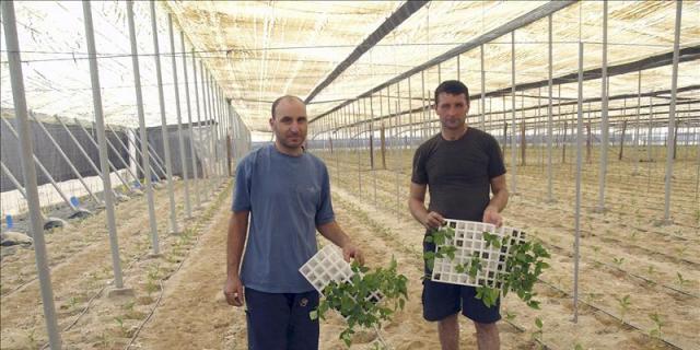 Los trabajadores extranjeros descienden en Madrid un 4,2% en el último año