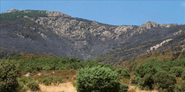 Abantos sigue recuperándose 15 años después del incendio