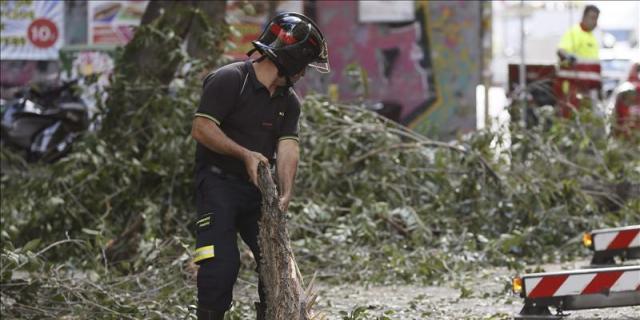 Cae una rama en el distrito de Centro sin causar víctimas