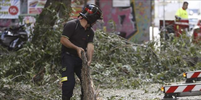 Cae otra rama de árbol de grandes dimensiones en Chamartín sin causar heridos
