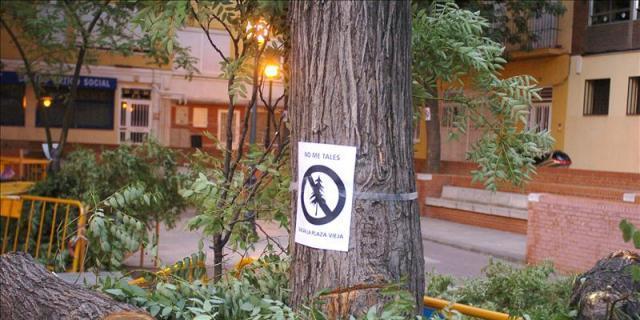 El PSM denuncia un "arboricidio" en Villaverde