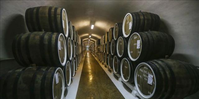 Estudian once bacterias que mejoran la fermentación del vino y la nutrición