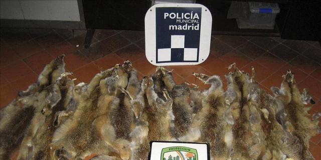 La Policía interviene diez pieles de zorro vendidas ilegalmente en un mercadillo de Villaverde