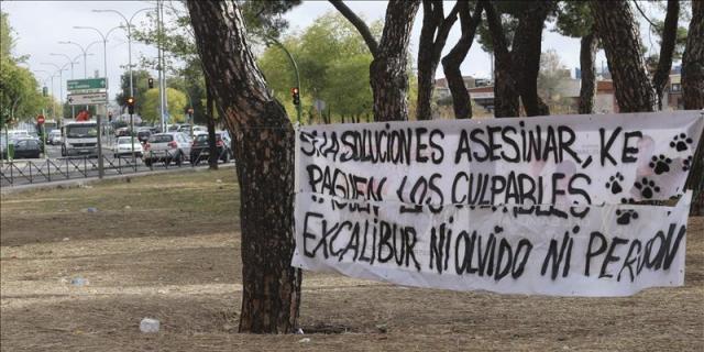 La Fiscalía informa en contra de la querella de Pacma por el sacrificio de Exkálibur