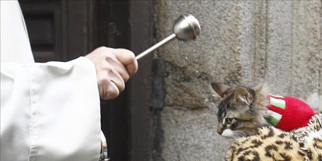 San Antón acoge la bendición y las "vueltas" de sus animales