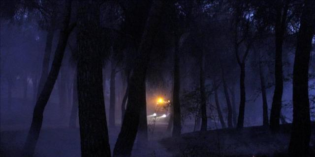 La Comunidad pide precaución en el monte por el riesgo extremo de incendios