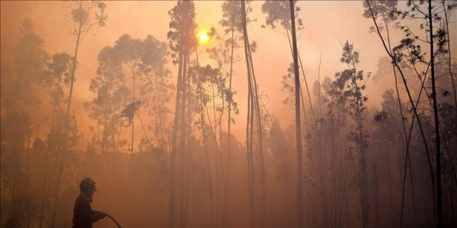 Bomberos forestales denuncian "supresión de medios" y se plantean una huelga