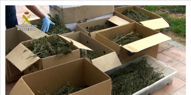 Detienen a 34 miembros de una red criminal con sede en Madrid