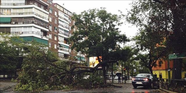 La tormenta en Madrid deja un herido y la caída de árboles y ramas