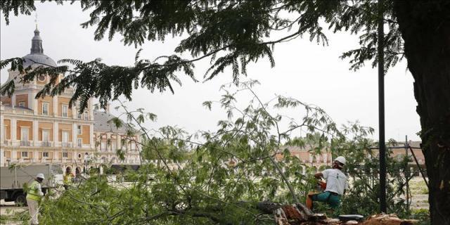 Aranjuez estudia pedir la declaración de zona catastrófica tras el temporal
