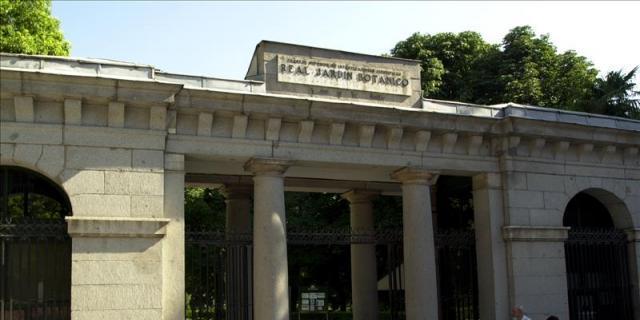 El Real Jardín Botánico celebra sus 260 años