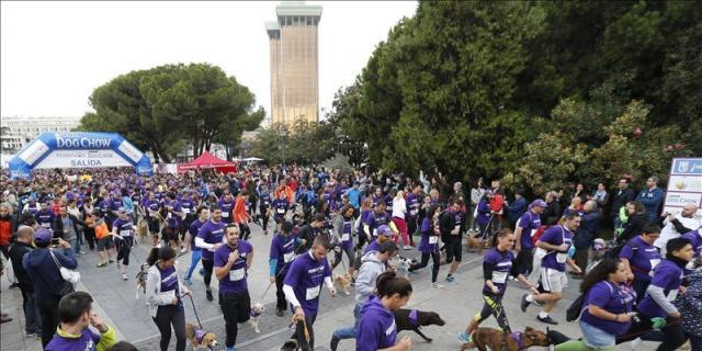 Madrid celebra el Perrotón'15 contra el abandono animal
