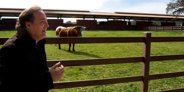 Púnica: Marjaliza acusa al consejero de Medioambiente de "mangonear" y cobrar comisiones