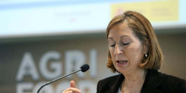 Operación Chamartín: Fomento abordará las reformas con o sin apoyo del Ayuntamiento