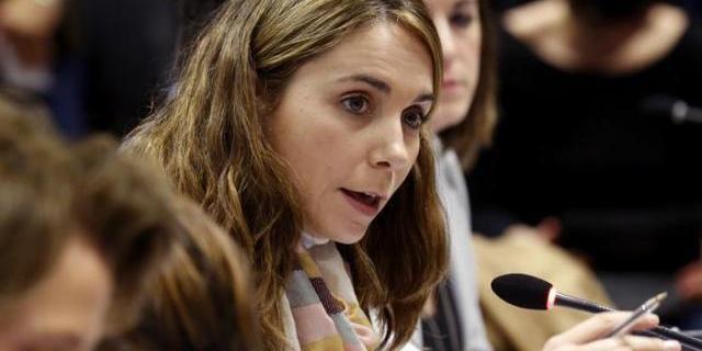 El Pleno aprueba convertir 21 muros municipales en obras de arte urbano en honor a Cervantes