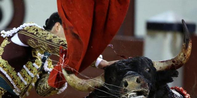 Abellán saluda la única ovación en un insulso y gris inicio de San Isidro