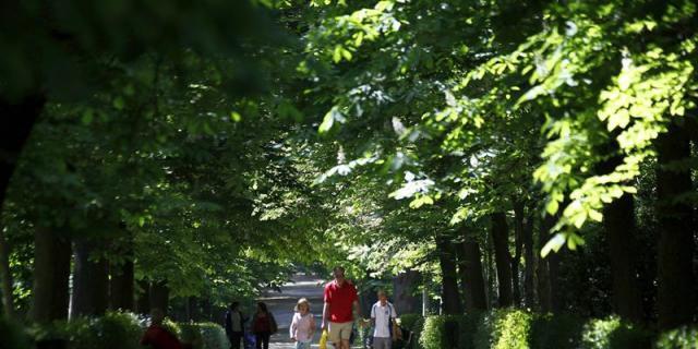 Día Internacional de la Familia: Todos los partidos prometen aumentar los presupuestos sociales