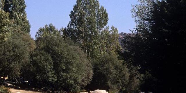 La Comunidad, empeñada en evitar bañistas en La Pedriza
