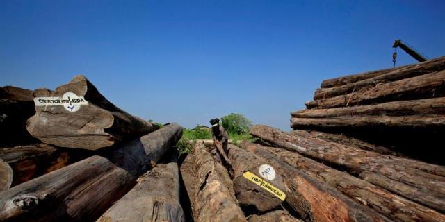 Estudian el vinagre de madera como sustituto al herbicida químico glisofato