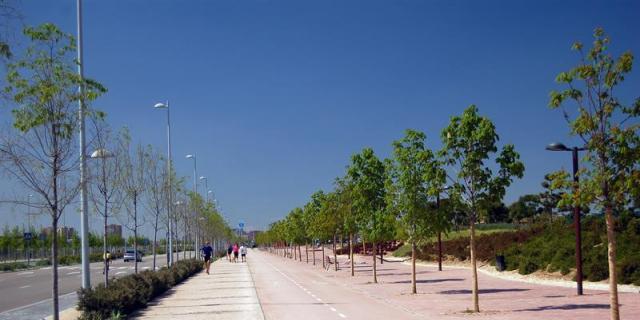 El Ayuntamiento de Madrid creará 30 km de carril bici antes de que acabe 2017