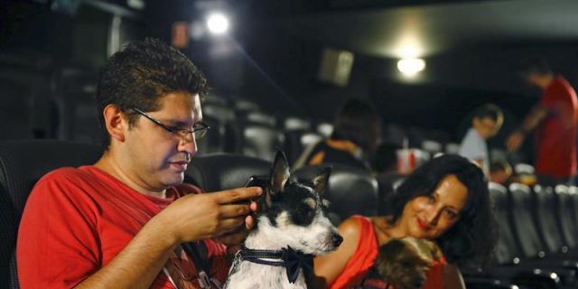 Trueno y otros 34 canes, los primeros perros que van al cine con sus dueños