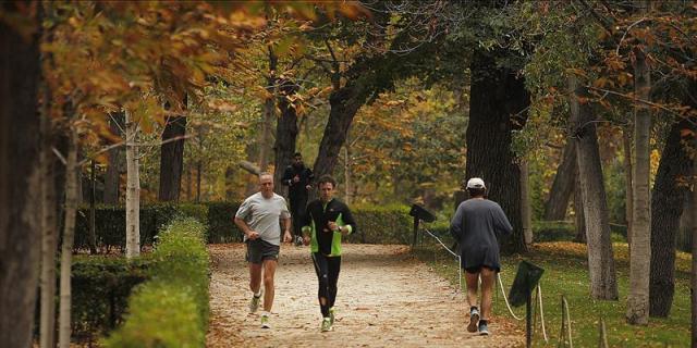 Obsesiones, acoso escolar y problemas familiares entre las causas de la vigorexia