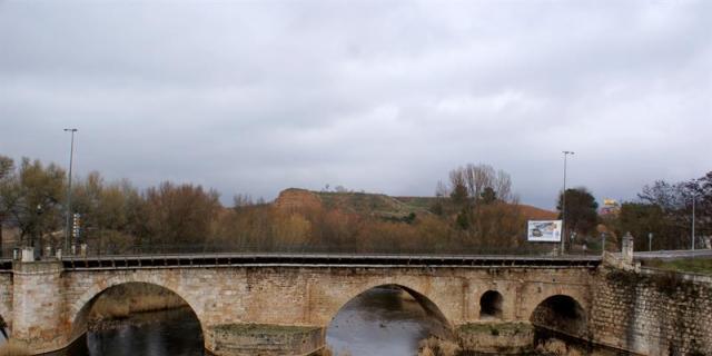 Los ecologistas vinculan los peces muertos en el río Henares con el vertido de Chiloeches