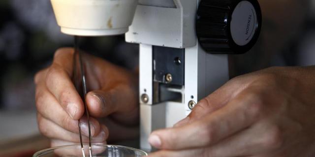 La UAM organiza un concurso para animar a los adolescentes a adentrarse en el mundo de la investigación