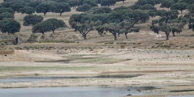 Los embalses están al 71 por ciento