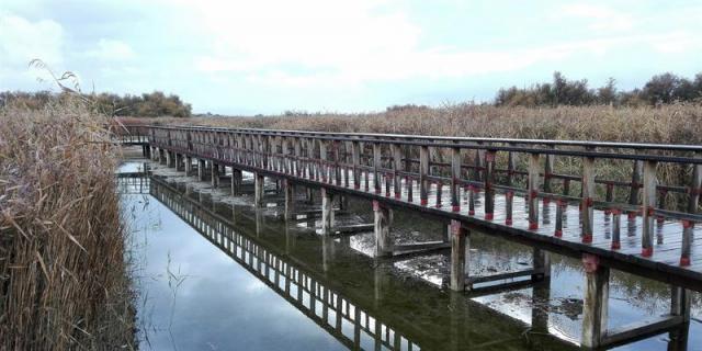 Los parques nacionales cumplen 100 años