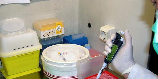 Muncyt reconoce a las investigadoras en el ciclo "De mayor quiero ser científica"