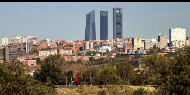 La Casa de Campo recibirá medio centenar de olmos resistentes a la grafiosis
