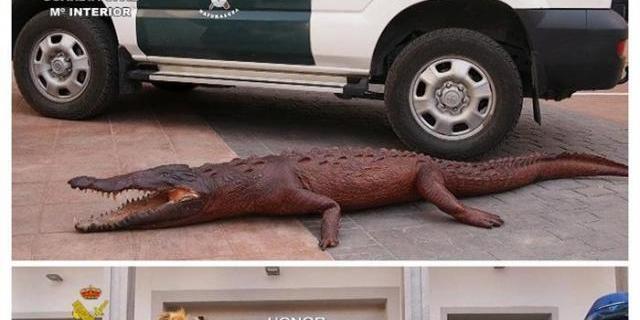 El Seprona detiene o investiga a 59 personas por tráfico ilícito de especies