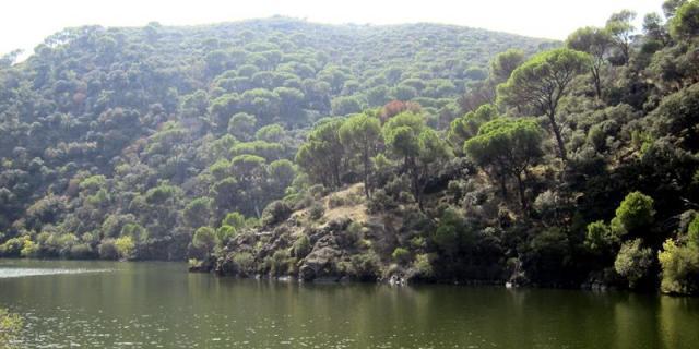 Aumentará la protección de los ríos Alberche y Cofio